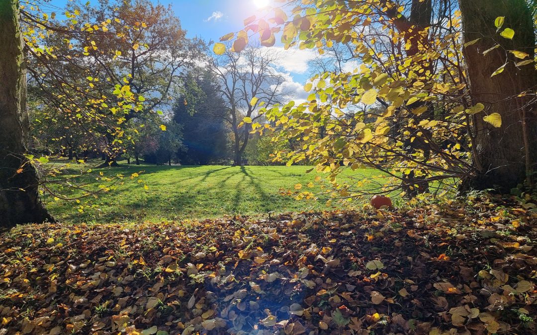 queens-park-bolton-in-autumn-2