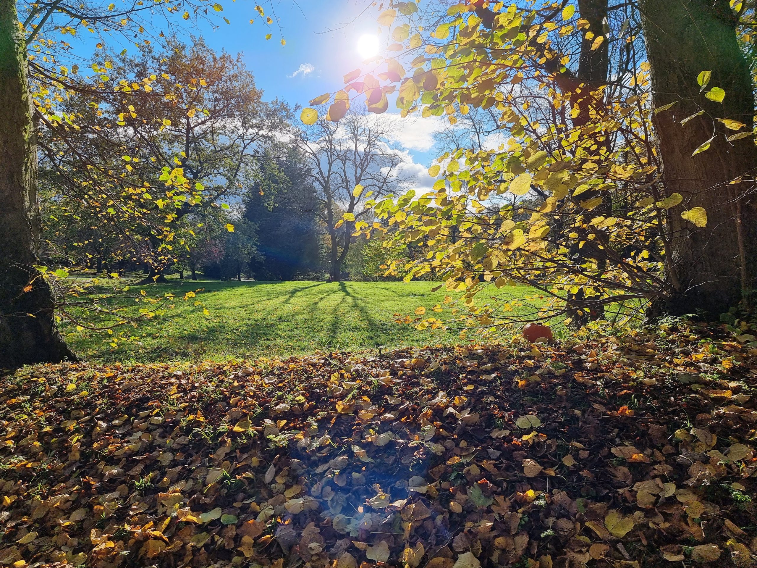 queens-park-bolton-in-autumn-2