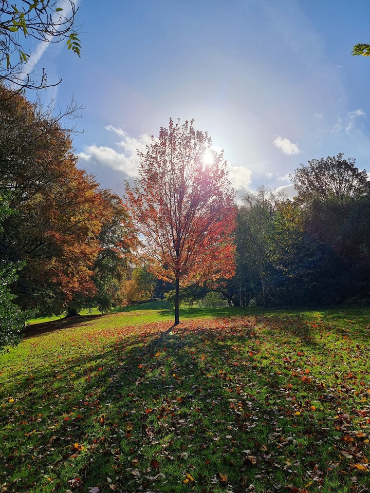 autumn-in-queens-park-bolton-14
