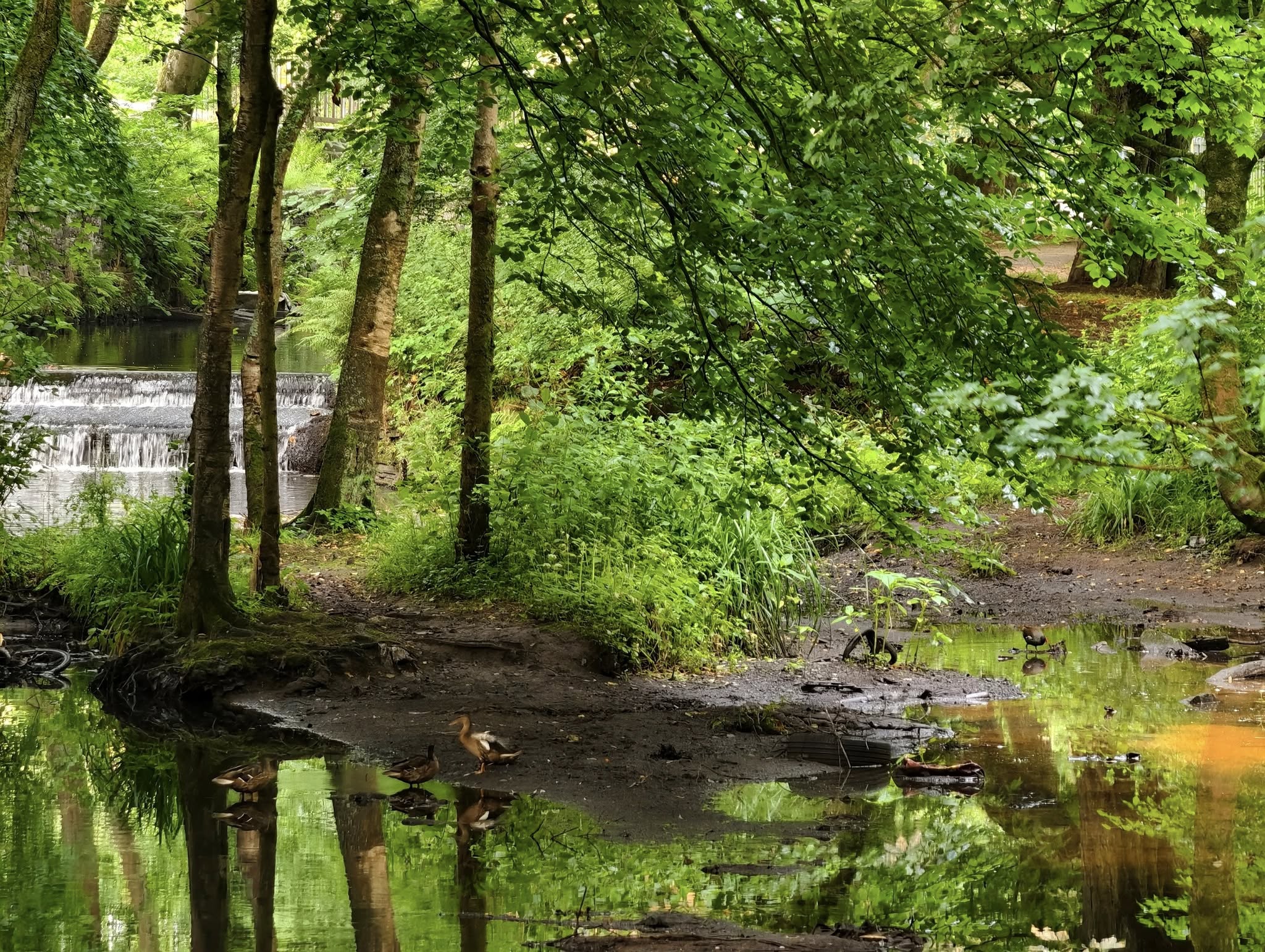 queens-park-bolton-summer-riverside-walk