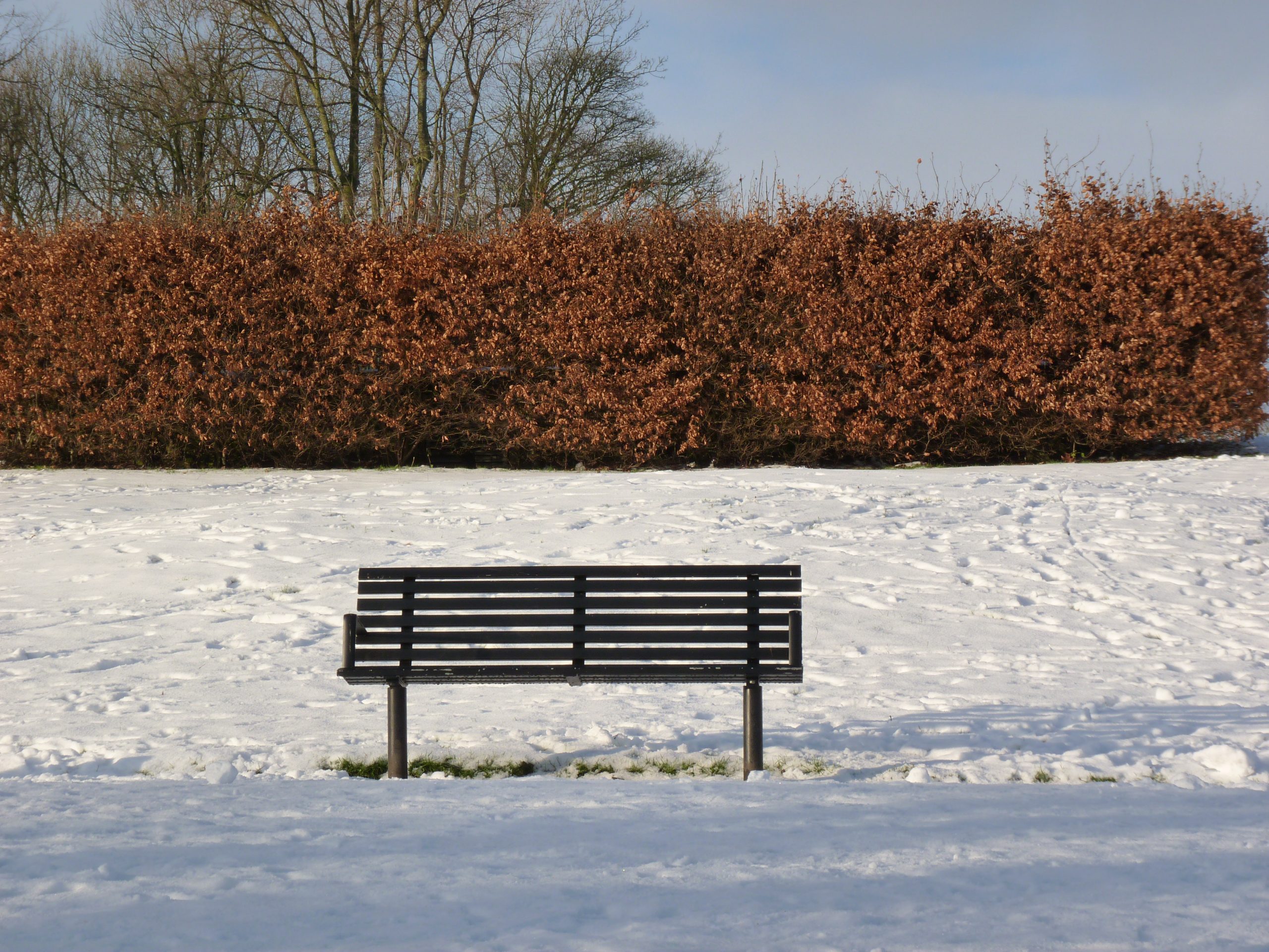 queens-park-bolton-winter-sno