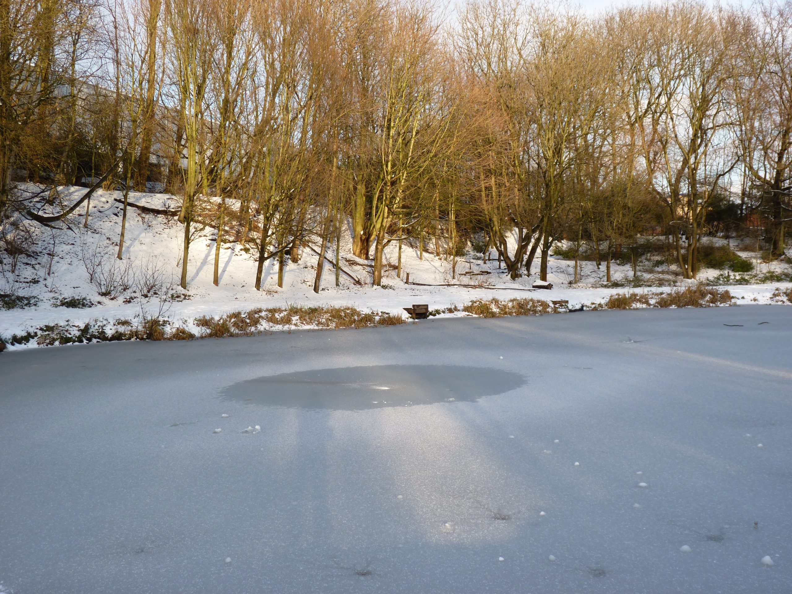 frozen-lake-queens-park-bolton