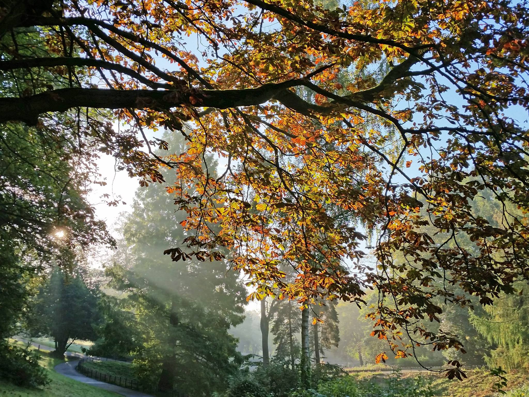 autumn-in-queens-park-bolton10