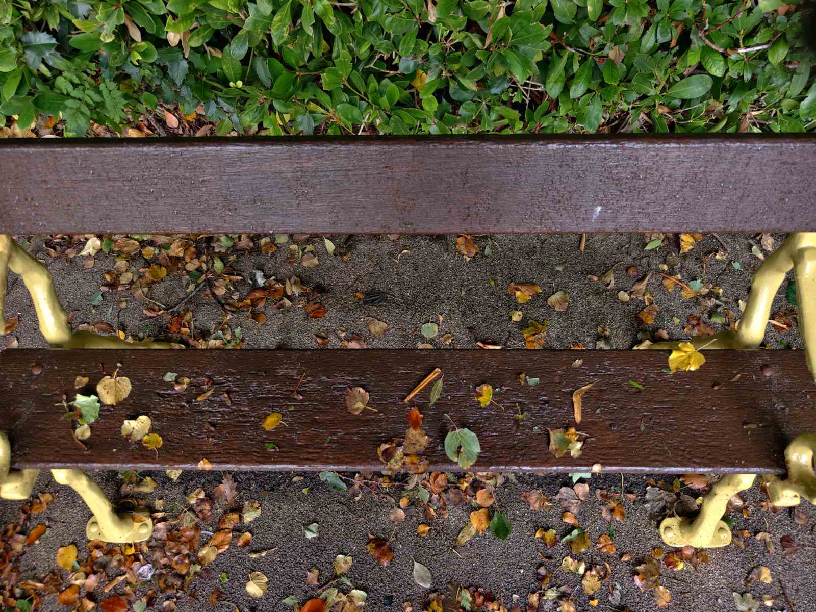 autumn-in-queens-park-bolton12