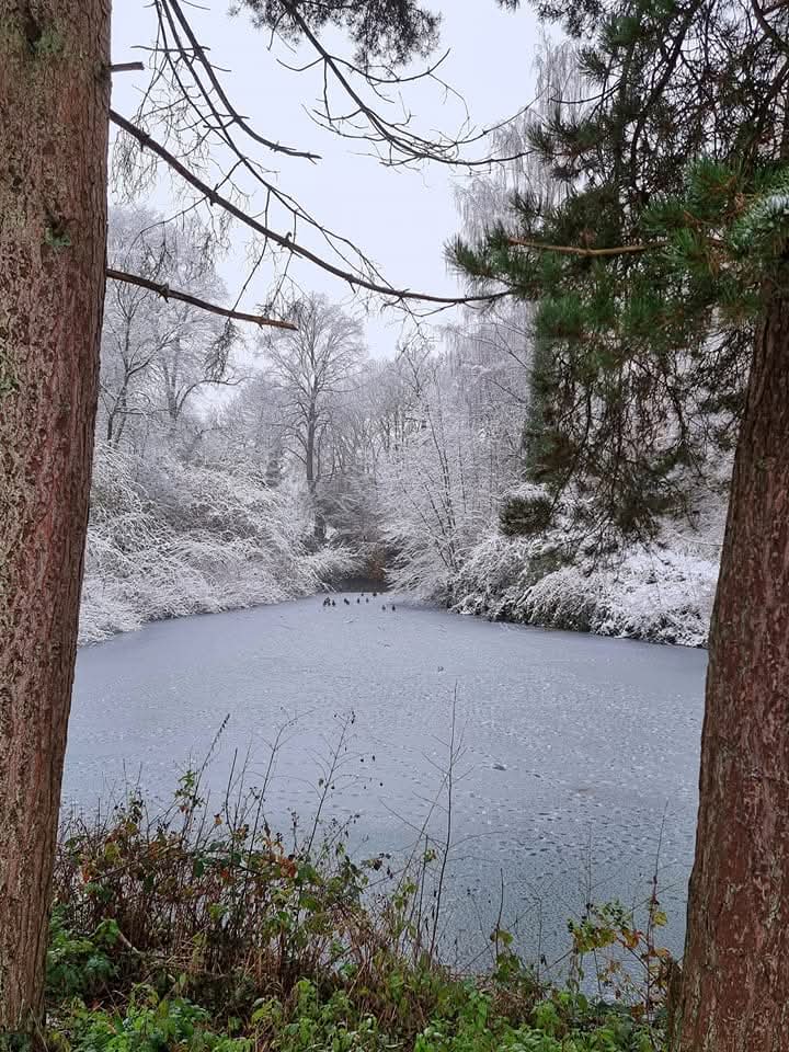 queens-park-bolton-winter20
